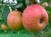 7014645897